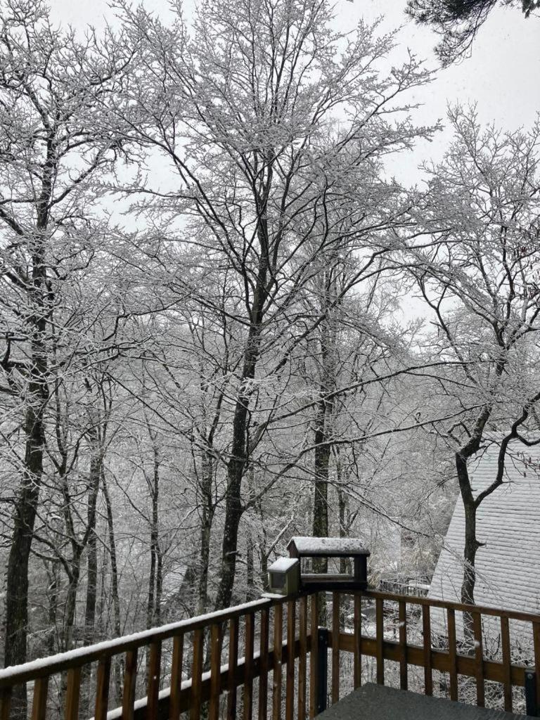Chalet 190 La Belle Durbuy Εξωτερικό φωτογραφία